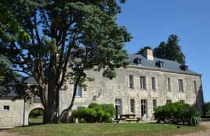 image n.3 of Loire Valley Tour & Wine Tasting Vouvray, Chinon, Bourgueil activity in Chinon, uploaded by supplier