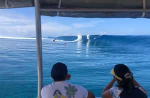 image n.3 of Tahiti: Teahupoo Wave Watching Tour activity in Papeete, uploaded by supplier
