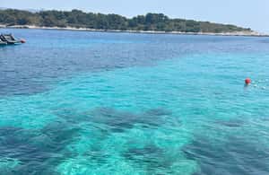 billede nr.4 af aktiviteten Split: Den Blå Lagune, Hvar og 5 øer – bådtur med en lille gruppe i Hvar by, uploadet af udbyder