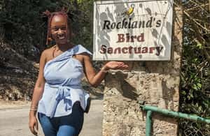 imagem n.4 de Montego Bay: Viagem particular ao Santuário de Pássaros de Rocklands atividade em Montego Bay, carregada pelo fornecedor