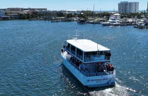 image n.3 of Destin: Dolphin Cruise aboard a Glass-Bottom Boat activity in Destin, uploaded by supplier
