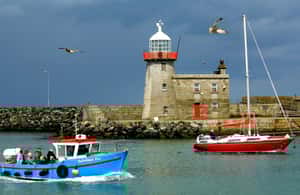 imagen n.º 4 de Dublín: Excursión a pie por la costa de Howth actividad en Dublín, subida por el proveedor