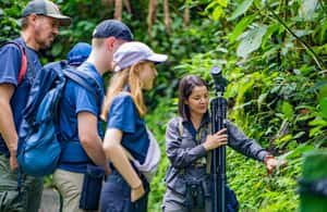 image n.4 of La Fortuna: Hanging Bridges Guided Tour at Mistico Park activity in La Fortuna, uploaded by supplier