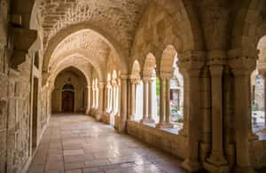 bild nr.3 av Utflykt till Betlehem och Födelsekyrkan från Jerusalem aktivitet i Betlehem, uppladdad av arrangören