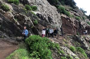 billede nr.3 af aktiviteten Madeira: Solopgang ved Pico do Arieiro og vandretur på Larano-stien i Madeira, uploadet af udbyder