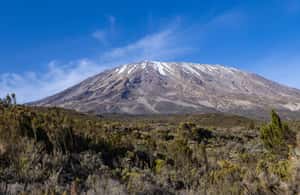 image n.3 of Mt. Kenya hike: 5 Days Hike to Lenana Peak Via Sirimon route activity in Central Kenya, uploaded by supplier