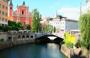 image n.4 of Ljubljana: 2.5h walking tour with local guide activity in Ljubljana, uploaded by supplier
