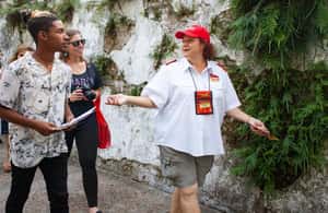 Immagine nº 3 di New Orleans: tour di 2 o 3 giorni in autobus Hop-on Hop-off con tour a piedi attività a New Orleans, caricata dal fornitore