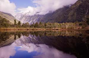 image n.3 of Franz Josef: Franz Josef Glacier Lookout Guided Walk activity in Franz Josef Town, uploaded by supplier
