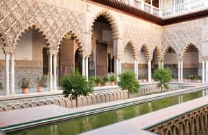 Seville: Cathedral, Giralda & Alcazar Entry With Guided Tour