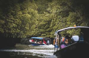 image n.4 of Langkawi: Island Hopping Shared Boat Tour activity in Kedah, uploaded by supplier