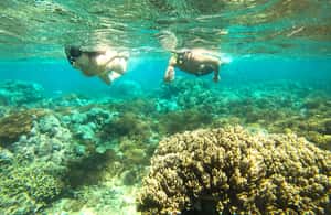Obraz nr 4 z atrakcji Ekskluzywna jednodniowa wycieczka na różową plażę Lombok i 3 Gilis w Indonezja, przesłany przez organizatora
