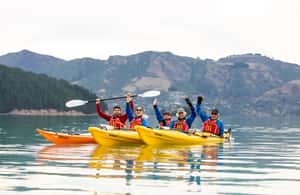 image n.4 of Christchurch: Sea Kayaking Tour of Lyttelton Harbour activity in South Island, uploaded by supplier