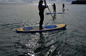 image n.4 of Stackpole Quay: Paddle Boarding Tour activity in Pembrokeshire, uploaded by supplier