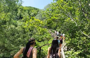 afbeelding n.4 van Vanuit Zagreb: Dagtrip Plitvice & Rastoke met gids en ticket activiteit in Slunj, geüpload door aanbieder