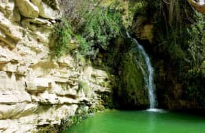 Bild Nr. 4 von Paphos: Privater Jeep Bad der Aphrodite mit Wasserfällen Aktivität in Paphos (Bezirk), hochgeladen vom Anbieter