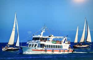 imagen n.º 4 de Santander: crucero urbano de 1 hora por la bahía actividad en Santander, subida por el proveedor