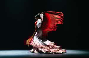 image n.4 of Seville: Live Flamenco Dancing Show Ticket at the Theater activity in Seville, uploaded by supplier