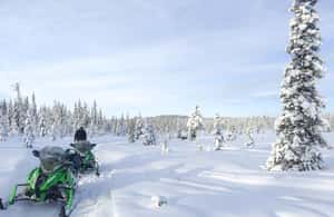 image n.3 of Polar Nature Tour on Snowmobile activity in Kiruna, uploaded by supplier