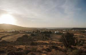 image n.3 of Paros: Morning Island Horseback Riding Adventure activity in Parikia, uploaded by supplier