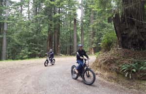 image n.4 of Humboldt: Electric Bike Rentals (4-Hour or Full Day options) activity in California, uploaded by supplier