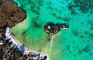 image n.4 of Mnemba Tour, Island Pongwe, Kuza Cave, Blue Lagoon, The Rock activity in Jambiani, uploaded by supplier