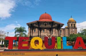image n.3 of From Guadalajara: Tequila Tour with Tastings activity in Guadalajara, uploaded by supplier