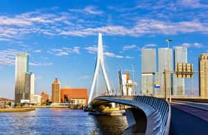 billede nr.4 af aktiviteten Rotterdam: Højdepunkter Privat cykeltur i Rotterdam, uploadet af udbyder