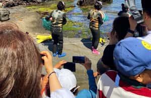 image n.4 of EAST JEJU: All Inclusive Private Tour w/ Taekwondo Show activity in Seogwipo-si, uploaded by supplier
