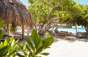 afbeelding n.4 van Curaçao: Klein Curaçao-jachttocht met toegang tot strandhuis activiteit in Curaçao, geüpload door aanbieder