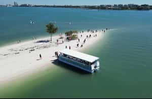 bild nr.3 av Clearwater Beach: Kryssning med delfiner och sandbankar på öar aktivitet i Clearwater, uppladdad av arrangören