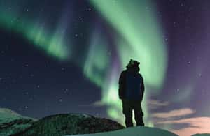 image n.4 of Experience the Magic of the Northern Lights in Lofoten! activity in Nordland County, uploaded by supplier