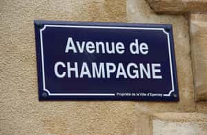 imagem n.3 de De Reims/Epernay: Tour particular pelos locais da UNESCO e Champagne atividade em Reims, carregada pelo fornecedor