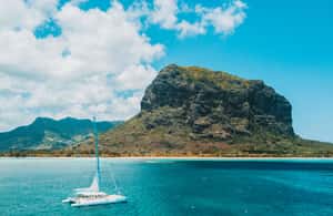 image n.4 of Southwest of Mauritius: Catamaran Cruise w/ Snorkeling activity in Mauritius, uploaded by supplier