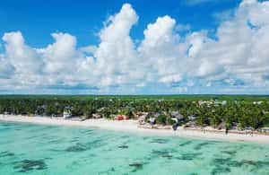 image n.3 of Zanzibar: Blue lagoon, Starfish, Paje Beach and Maalum Cave activity in Pingwe, uploaded by supplier
