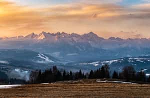 image n.3 of Zakopane: Buggy Ride Adventure with Bonfire and Transfers activity in Zakopane, uploaded by supplier