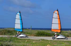 afbeelding n.3 van Blokart Landsailing aan de kust van Caribisch Bonaire activiteit in Kralendijk, geüpload door aanbieder