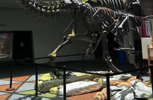 image n.3 of Singapore: Science Center E-Ticket activity in Singapore, uploaded by supplier