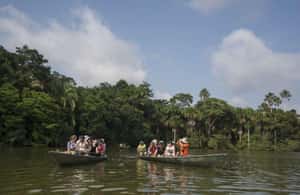 slika br. 4 iz kolekcije 3D Eco Magic Ecoamazon Lodge Puerto Maldonado - Tambopata aktivnosti u mjestu Puerto Maldonado, prenio opskrbni partner