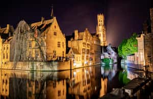 imagen n.º 4 de Desde París: Excursión privada de un día en grupo reducido a Brujas actividad en Brujas, subida por el proveedor