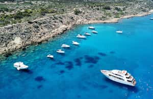 image n.4 of Ayia Napa's Biggest Boat | Cruise with Lunch and Swimming activity in Cyprus, uploaded by supplier