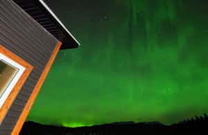 image n.3 of Whitehorse: Nighttime Northern Lights Viewing activity in Whitehorse, uploaded by supplier