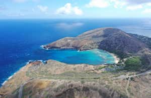 Immagine nº 4 di Oahu: biglietto d'ingresso alla baia di Hanauma + noleggio attrezzatura attività a Honolulu, caricata dal fornitore