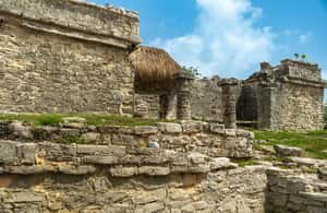 image n.3 of Playa del Carmen: Tulum, Cenote, and Turtle Tour with Lunch activity in Tulum, uploaded by supplier