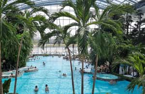 image n.3 of Therme:Spa Day at the biggest oasis of Relaxation《Bucharest》 activity in Balotesti, uploaded by supplier