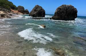 image n.4 of San Juan:Beach hopping Los Tubos, Hacienda Esperanza & more activity in Manatí, uploaded by supplier
