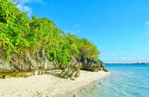 image n.4 of 5 Islands Trip inc. Ile aux Cerfs, Lunch, Drinks & Transport activity in Mauritius, uploaded by supplier