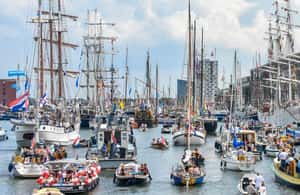 Bild Nr. 3 von Offizieller Veranstalter von SAIL Amsterdam: Segelbootfahrt mit Mittagessen Aktivität in Amsterdam, hochgeladen vom Anbieter