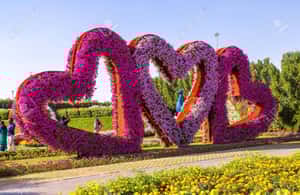 imaginea n.4 a activității Dubai: Excursie privată la Miracle Garden & Global Village în Dubai, încărcată de organizator
