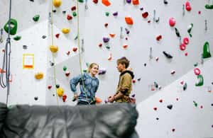 зображення №4 активності «Крістіансанн: Sørlandet Klatresenter Вхідний квиток» в такій локації: Крістіансанд, завантажене постачальником